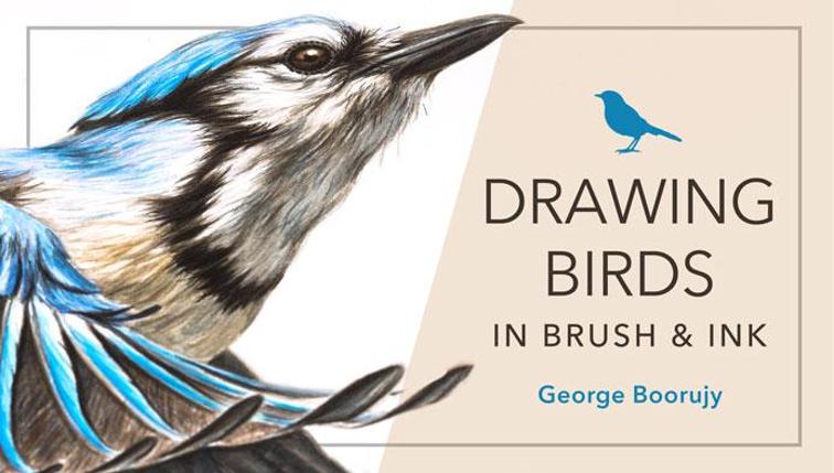 Craftsy - Drawing Birds in Brush and Ink - Boorujy_0.jpg
